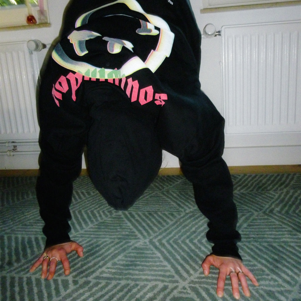 SW BIG DEFINITION HOODIE